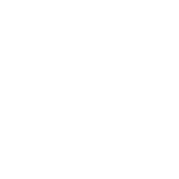 UAPSA Logo